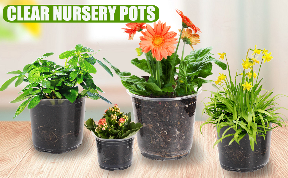 Oubest 50Pcs Clear Nursery Pots Variety Pack Plastic Pots for Plants Orchid Potting