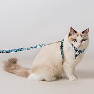 Amazon Envycollection 猫用ハーネスセット リード付き ペット ねこハーネス ネコベスト サイズ調整可能 お出かけ 散歩 ハネ ス 猫胴輪 脱走防止 おしゃれ 抜けない Tropical Blush Envy Collection ハーネス 通販 Amazon Envycollection 猫用ハーネスセット リード付き ペット ねこハーネス ネコベスト サイズ調整可能 お出かけ 散歩 ハネ ス 猫胴輪 脱走防止 おしゃれ 抜けない Tropical Blush Envy Collection ハーネス 通販