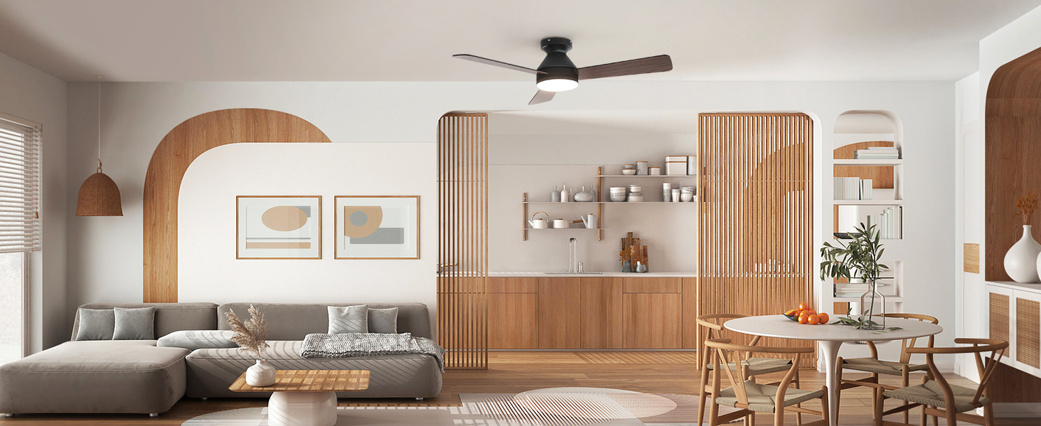 celling fan with lights