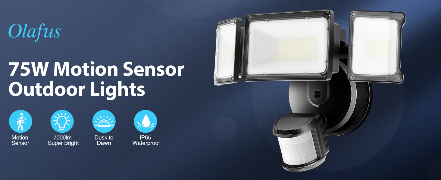 motion flood light