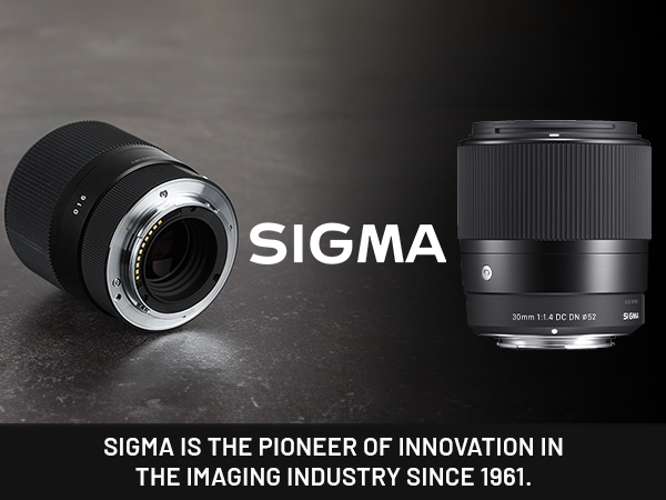 SIGMA 30mm F1.4 DC DN ソニーEマウント Amazon.com : Sigma 30mm f/1.4 DC DN Contemporary Lens for