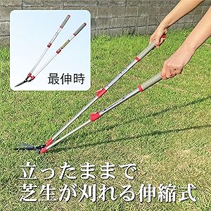 ささ様 Amazon | キンボシ(Kinboshi) ゴールデンスター アルミ柄伸縮