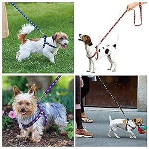 Plastic Snap & Steel Buckle & D ring. Easy to Control. Leash Length is Approx 132 Cm