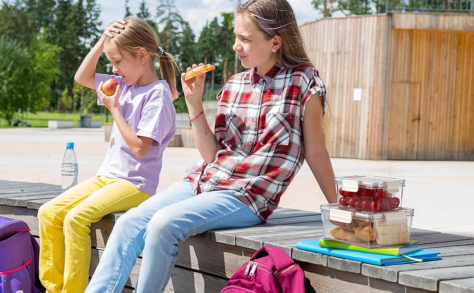 Food Containers for Fridge