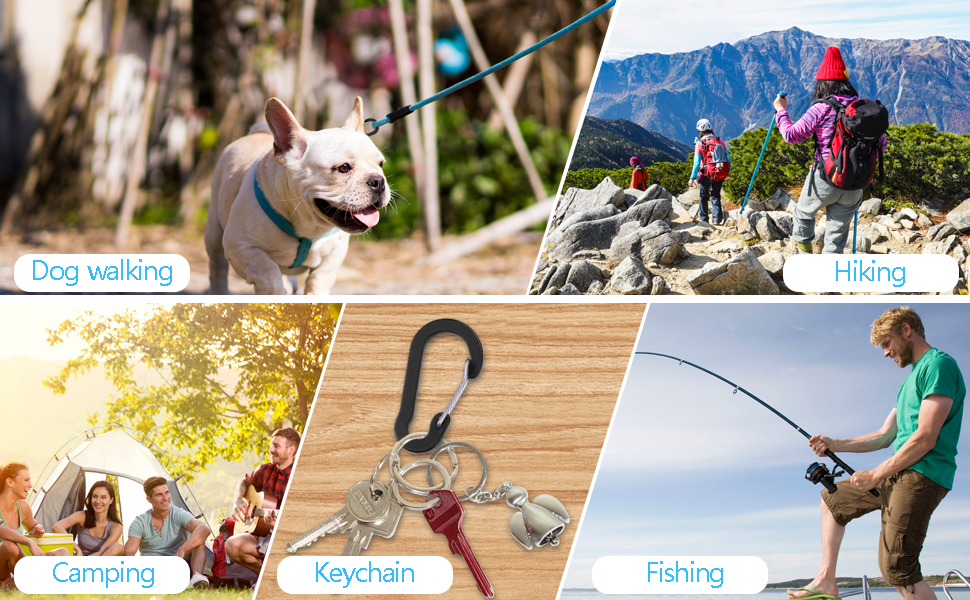 Mini Aluminum Carabiner  D-Shape Spring Clips
