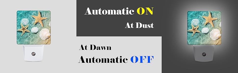 Seashell Starfish Beach Seaside Night Light Plug in LED Lamp Acrylic Glass Decor Night Lights Plug into Wall with… 1