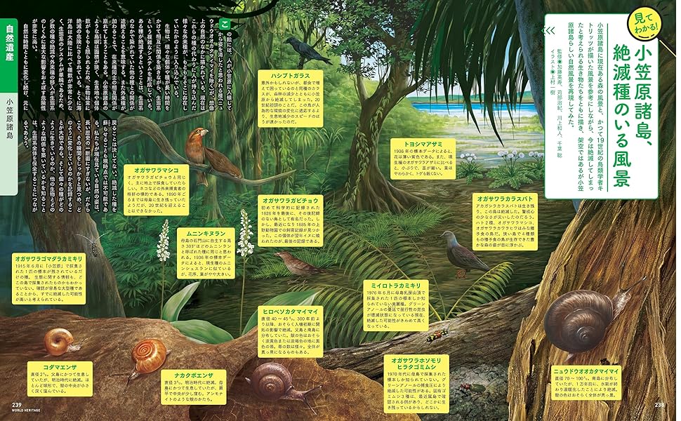 名所 世界遺産 特集 新聞 4枚セット 名所 世界遺産 特集 新聞 4枚セット 名所 世界遺産 特集 新聞 4