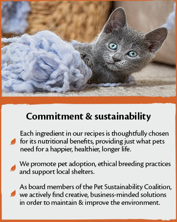 Wellness CORE is committed and sustainable