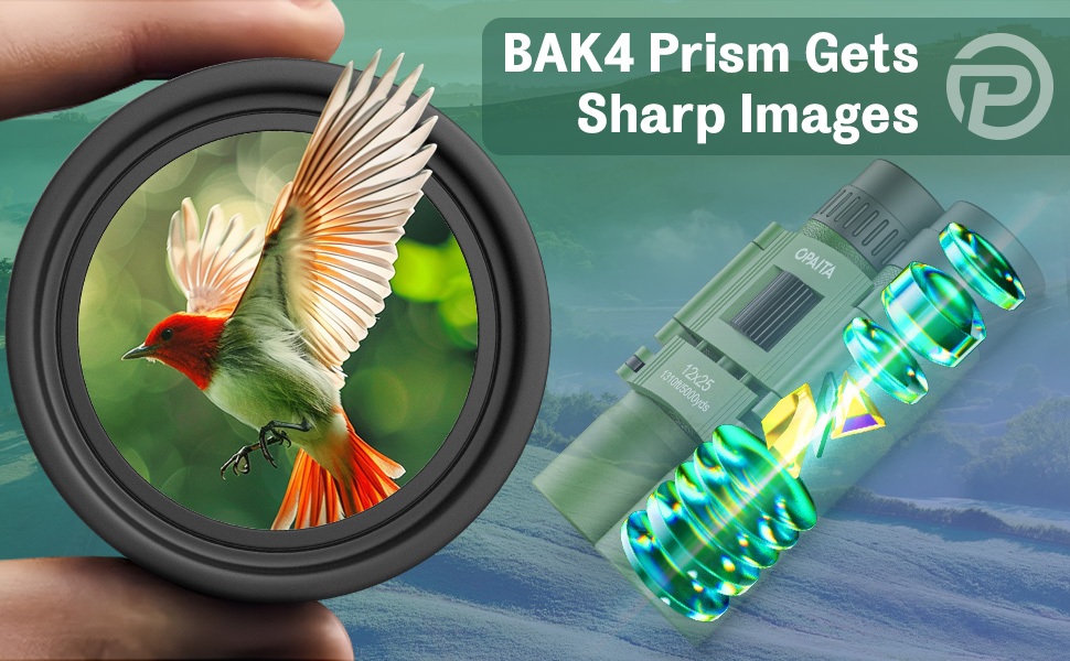 kids binoculars for bird watching