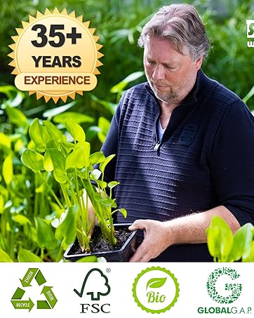 Simon van der Velde Teichspezialist