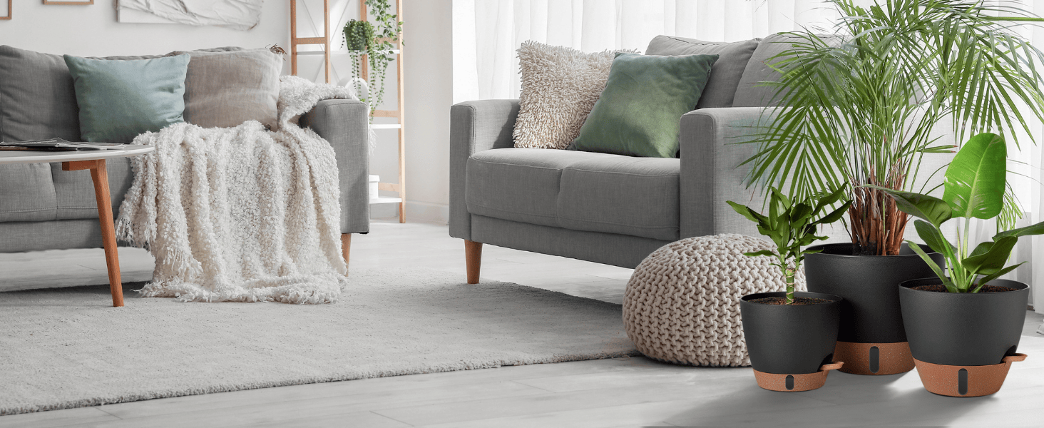 large indoor plant pot