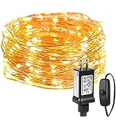 LE String Lights 33ft with 100 LEDs, Waterproof Copper Wire Lights, Outdoor & Indoor Decorative F...
