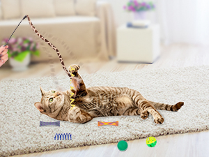 cat feather toys