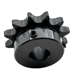 cheesenuts 08、15、55、58、62、65 cheesenuts 08、15、55、58、62、65 DAVID Seeds Sunflower