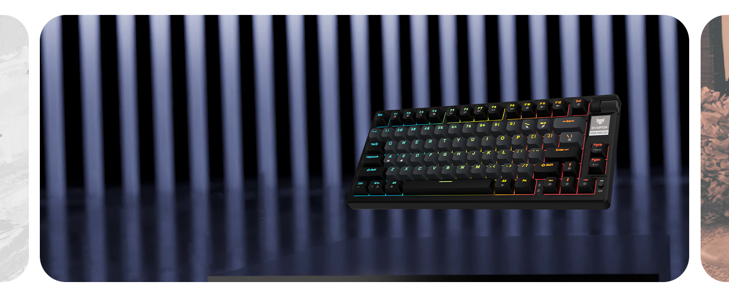 EvoFox Ronin Wireless TKL Mechanical Keyboard