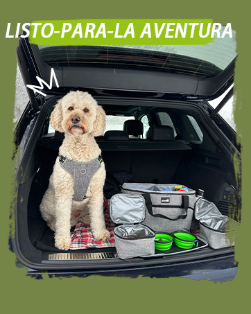 Pecute Large Portable Pet Travel Bag with Pockets Multifunctional Organizer for Outdoor Use Travel Set with 2 Food Bags + 2 Collapsible Bowls 24 El texto dice: «LISTO PARA LA AVENTURA». El maletero del coche está repleto de artículos de viaje y un perro pequeño sentado entre el equipaje y los accesorios de viaje.