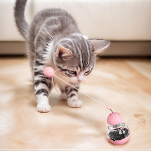 cat treat toy