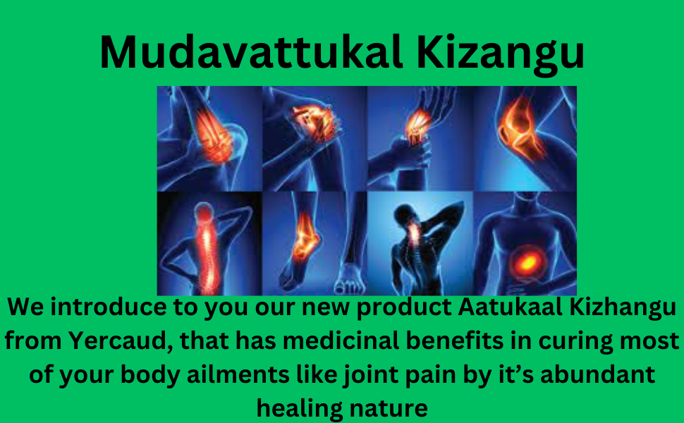 Erkak jinsiy olatni uzunligi qancha?