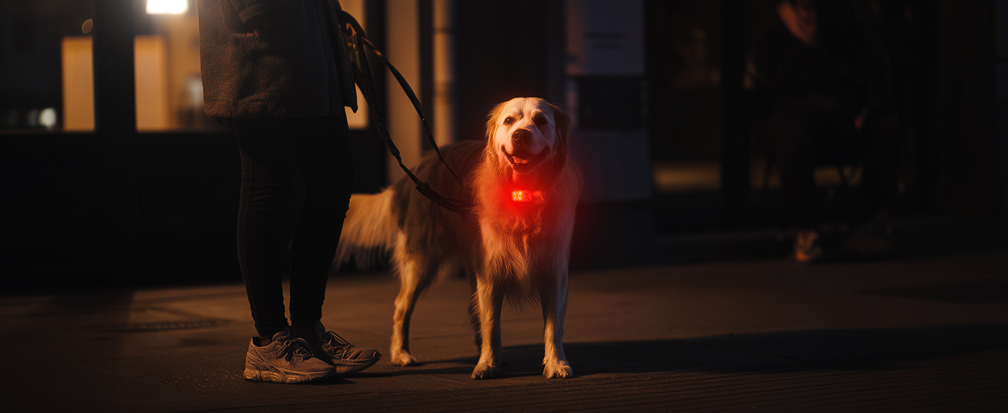 Dark indoor scene with silhouetted figures and lighting effects.