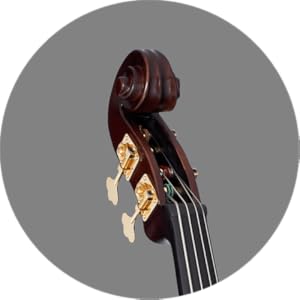 Amazon.co.jp: LANDSCAPE (ランドスケープ) エレクトリックアップ