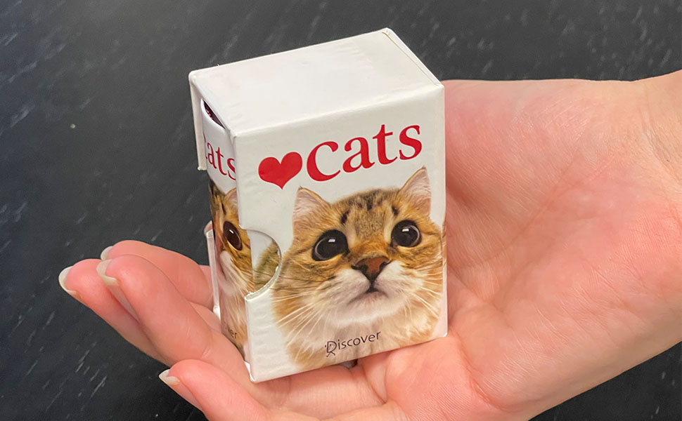 ねこページ cats 手のひらサイズのギフトブックシリーズ (A HELEN EXLEY