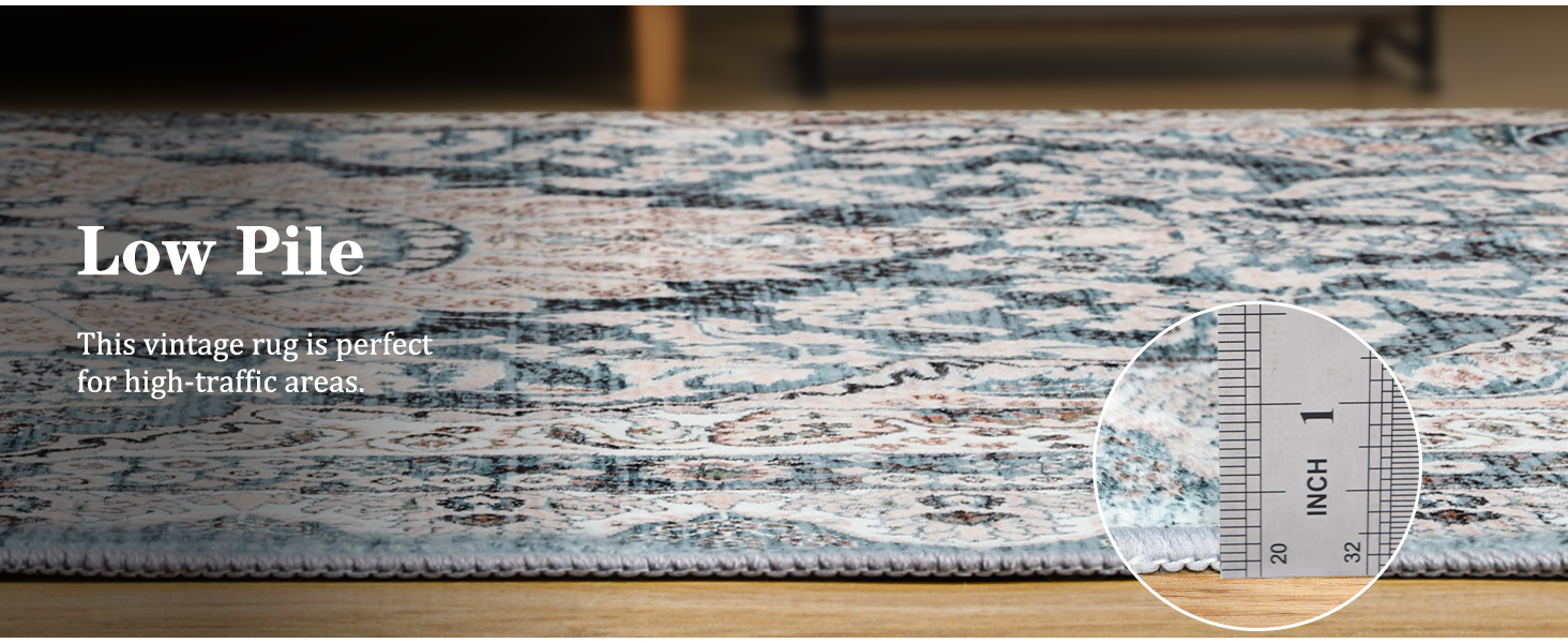 Foxmas 6x9 Area Rugs for Living Room, Machine Washable