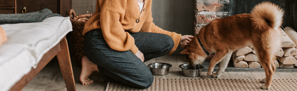 Triangle Harness for Small Dogs - Size S1 - 14 x 13 x 4 cm - Eyes Design - Very Resistant and Comfortable - Reduces Pulling - Dog Accessories 24 arnes perro, perros accesorios, cama perro, colchon perro, colchoneta perro, collar perro