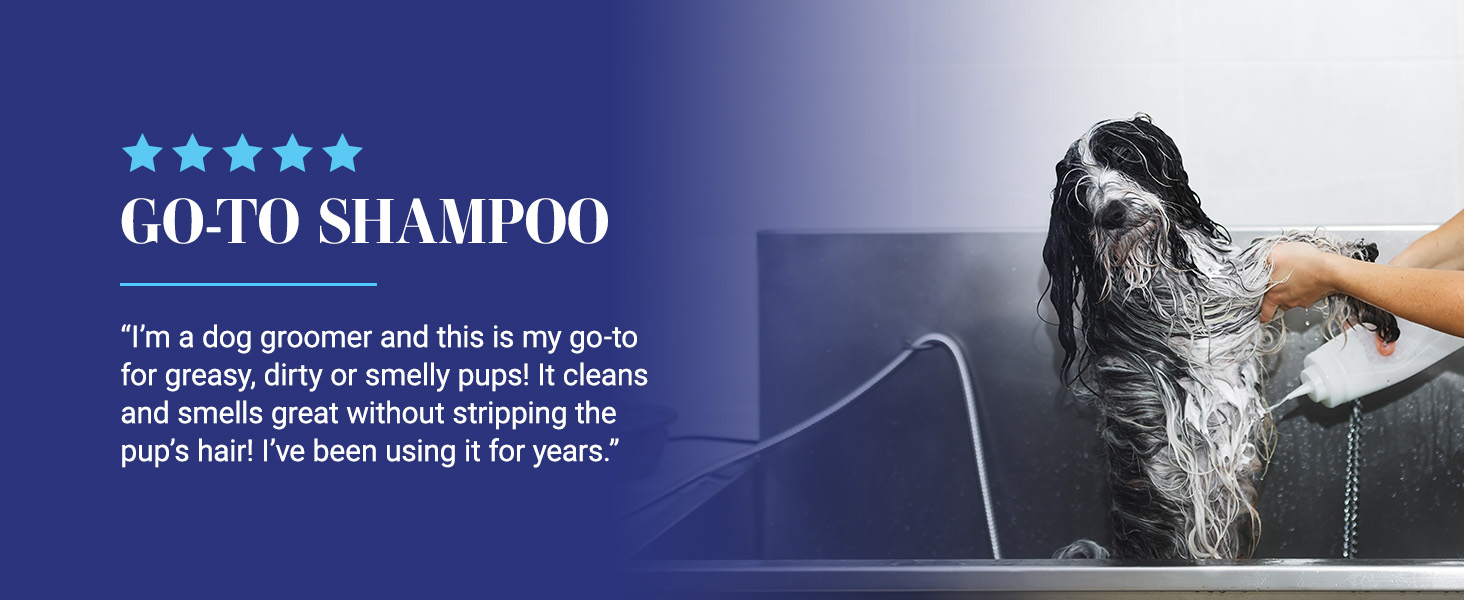 Dog Groomer's review of Chris Christensen Clean Start Shampoo - my go to for greasy, smelly pups