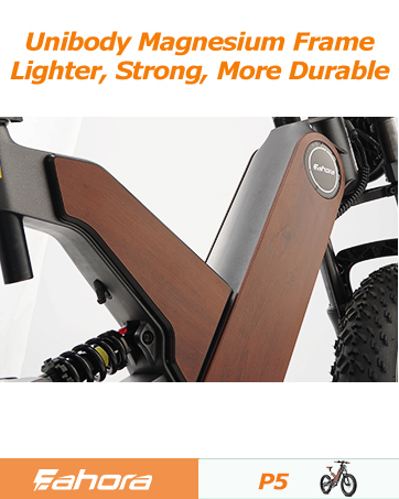ebike