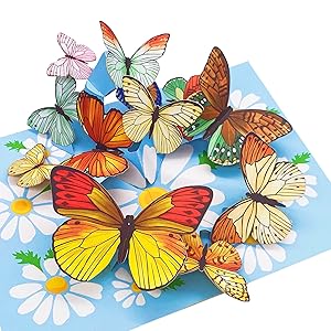 liif lovepop love paper 3d greeting pop up butterfly card mothers day gift poplife