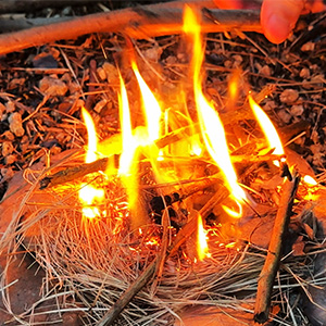Feeding the flame with kindling and larger branches