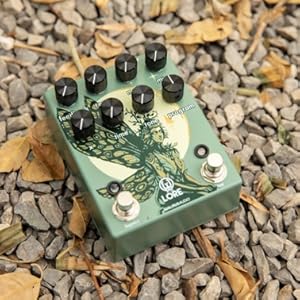 新品 未使用 Walrus Audio Lore ウォルラスオーディオ Walrus Audio ( ウォルラスオーディオ ) Lore Reverse