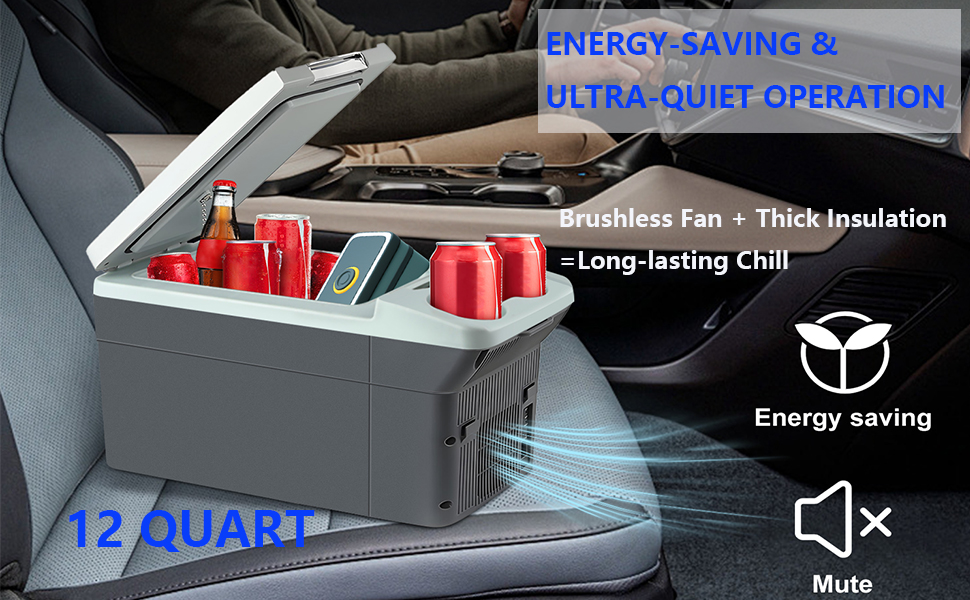 12L/Quart Electric Cooler 