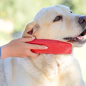 StripHair Groomer Pets groom dog