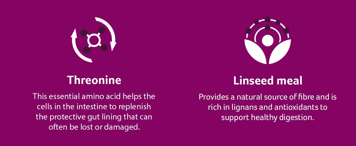 Lintbells YuDIGEST Plus for Dogs Veterinary Strength Fastacting