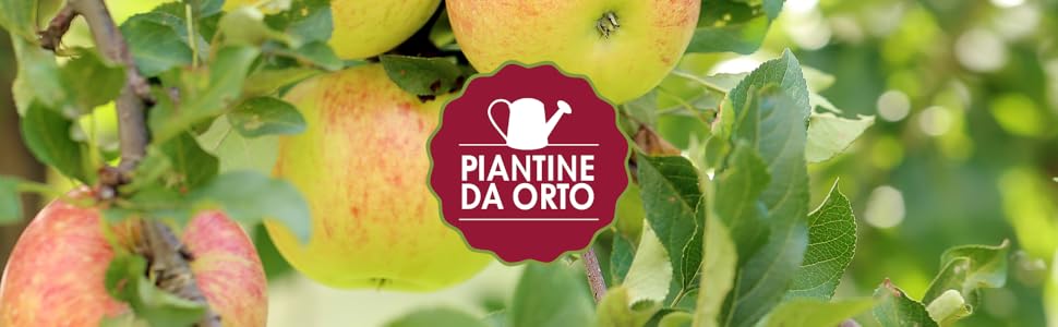 Foto di prodotti freschi che mostra foglie e frutti, con una sovrapposizione circolare del logo color bordeaux