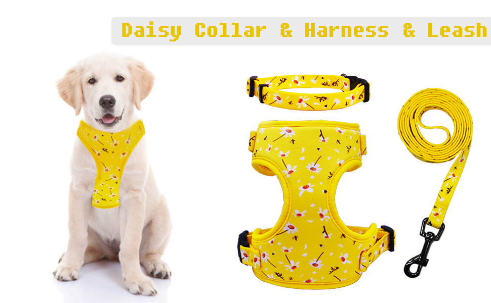 Dog Harness with Leash and Collar Set Adjustable Soft Mesh