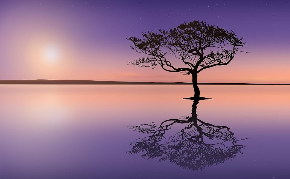 A tree on water