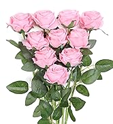 pink rose