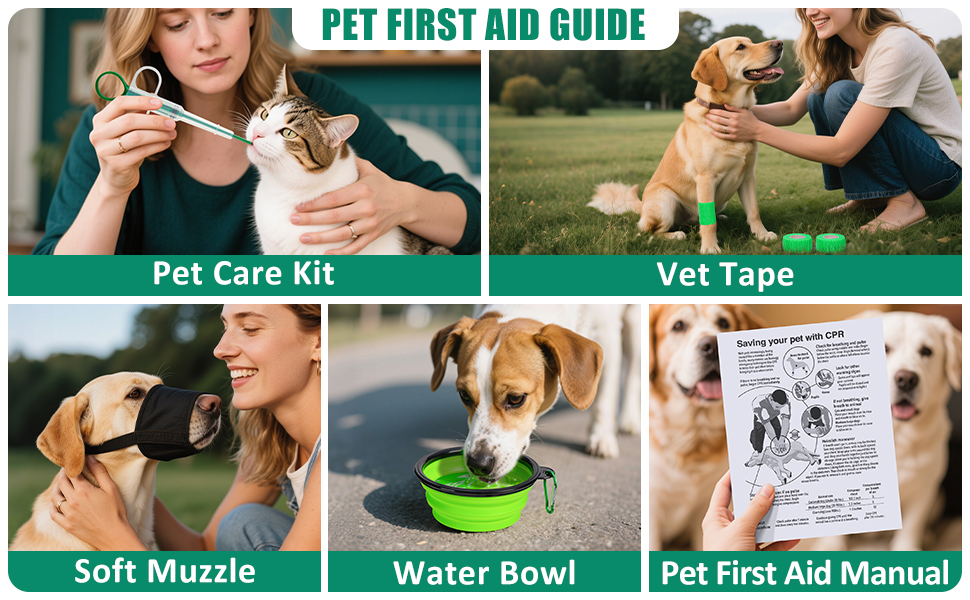 canine first aid kit