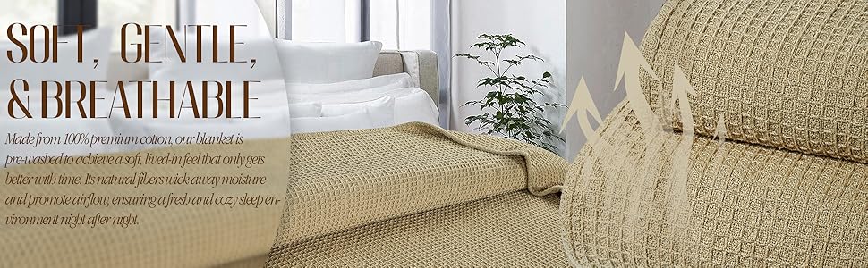 Khaki soft