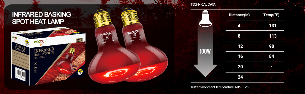 reptile heat lamp