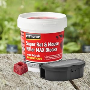 Small manufacture image 3