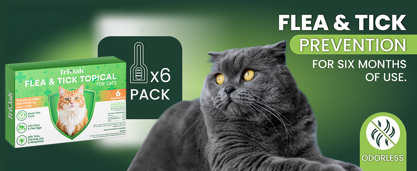 cat flea and tick prevention