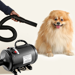  Dog Hair Dryer