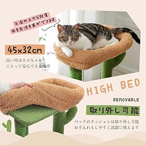 Amazon | PETEPELA(ぺテぺラ) キャットタワー サボテン 猫タワー