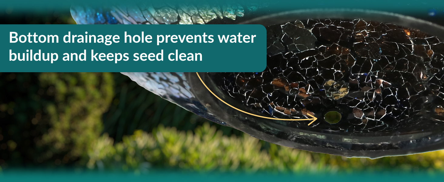 bottom drainage hole prevents water buildup and keeps seed clean