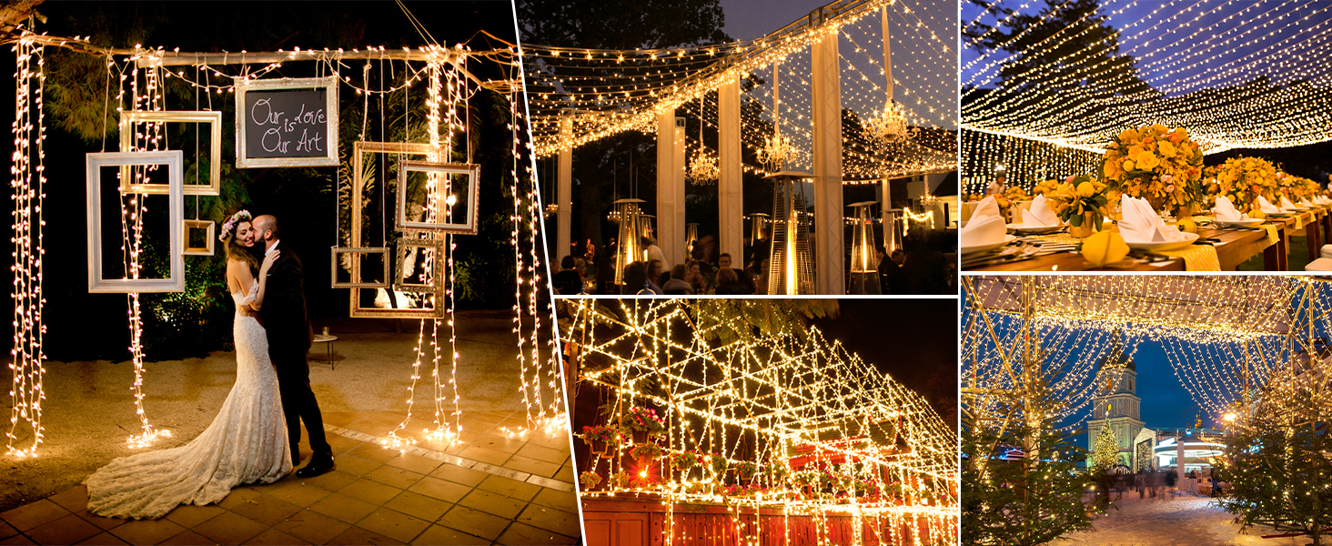 For Indoor Decoration