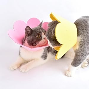 エリザベスカラー 猫 犬 COTOREAL ペット用品 傷口保護 傷舐め防止 楽天市場】【楽天1位】犬 猫 ソフトエリザベスカラー ペット