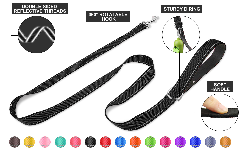 dog leash